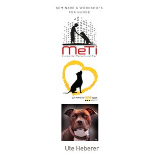 Kind und Hund der richtige Umgang Seminar Ute Heberer 11.10.20 Sonntag