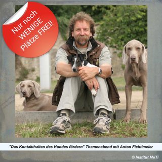 Das Kontakthalten des Hundes fördern Themenabend mit Anton Fichtlmeier