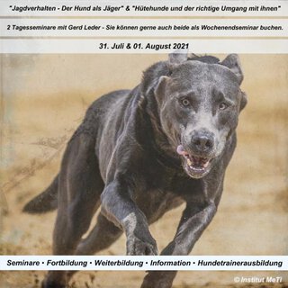 Jagdverhalten - Der Hund als Jäger & Hütehunde und der richtige Umgang mit ihnen zwei ausergewöhnliche Tagesseminare mit Gerd Leder