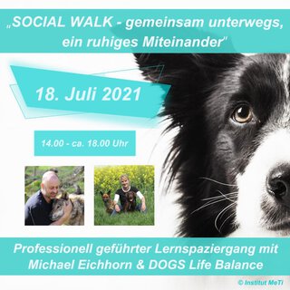 SOCIAL WALK - gemeinsam unterwegs, ein ruhiges Miteinander Teilnahme mit Hund