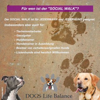 SOCIAL WALK - gemeinsam unterwegs, ein ruhiges Miteinander Teilnahme mit Hund