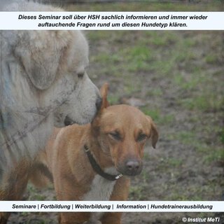 Herdenschutzhunde - Besser als ihr Ruf ein Tagesseminar mit Angelika Lanzerath