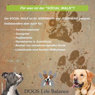 SOCIAL WALK - gemeinsam unterwegs, ein ruhiges Miteinander - Thema Jagdverhalten Teilnahme mit Hund