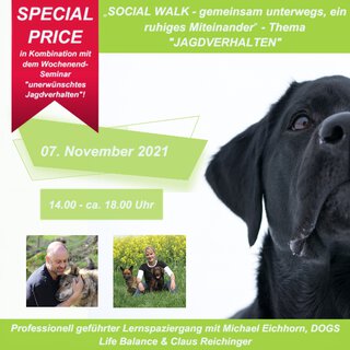 SOCIAL WALK - gemeinsam unterwegs, ein ruhiges Miteinander - Thema Jagdverhalten Teilnahme ohne Hund