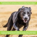 "SOCIAL WALK - gemeinsam unterwegs, ein ruhiges Miteinander" - Thema "Jagdverhalten" Teilnahme ohne Hund