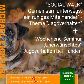 Herbst Kombi-Angebot im November 2021 Social Walk und Wochenendseminar mit Michael Eichhorn Thema unerwünschtes Jagdverhalten