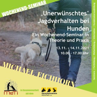 Herbst Kombi-Angebot im November 2021 Social Walk und Wochenendseminar mit Michael Eichhorn Thema unerwünschtes Jagdverhalten