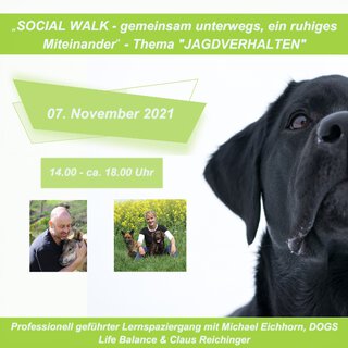 Herbst Kombi-Angebot im November 2021 Social Walk und Wochenendseminar mit Michael Eichhorn Thema unerwünschtes Jagdverhalten Teilnahme mit Hund