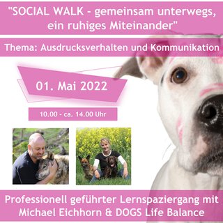 SOCIAL WALK - gemeinsam unterwegs, ein ruhiges Miteinander Teilnahme ohne Hund