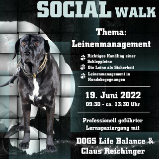 SOCIAL WALK - gemeinsam unterwegs, ein ruhiges Miteinander - mit dem Thema Leinenmanagement