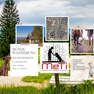 Hundewanderung auf die Neureuth und Einkehr in die Neureuther Alm - gemeinsam unterwegs, ein ruhiges Miteinander