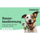 FERAGEN Rassebestimmung Hund