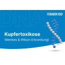 Kupfertoxikose beim Labrador Retriever (Menkes &...